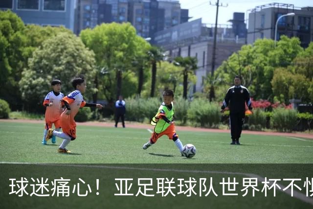 球迷痛心！亚足联球队世界杯不惧欧洲强敌 国足都赢不了泰国